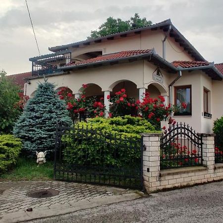 Aurora Haz Daire Zalakaros Dış mekan fotoğraf