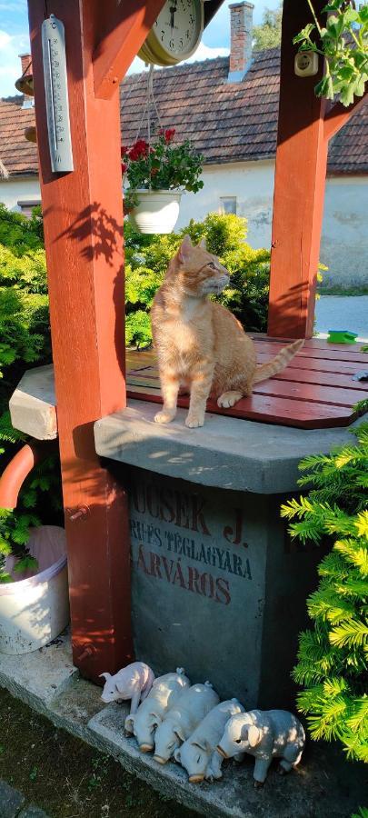 Aurora Haz Daire Zalakaros Dış mekan fotoğraf